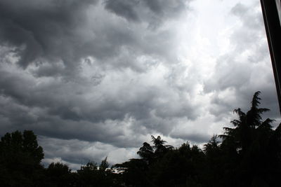Low angle view of trees against cloudy sky