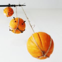 Orange fruits hanging against white background