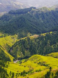 Scenic view of rural landscape