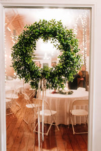 Potted plants on table at home