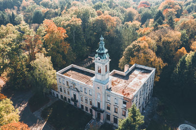 High angle view of trees and plants in forest during autumn