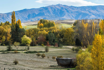 Scenic view of mountains