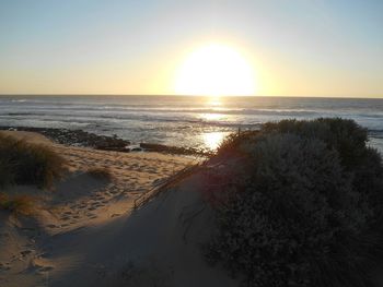 Scenic view of sea at sunset