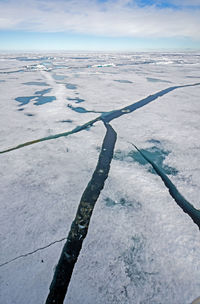 High angle view of snow covered landscape