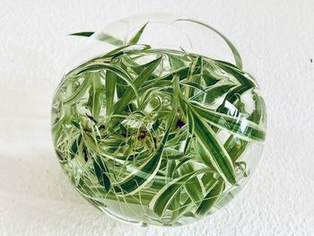 High angle view of leaves in bowl on table