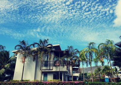 Palm trees by building against sky