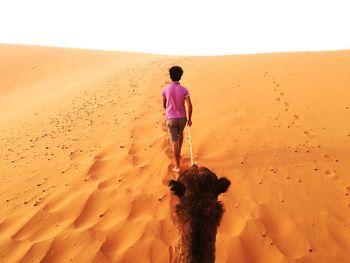 Rear view of man leading camel on sand dune