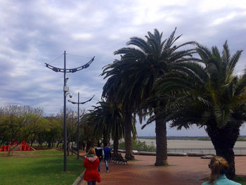 Palm trees at park against sky