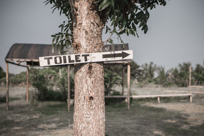 Information sign on tree trunk