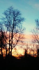 Low angle view of silhouette bare trees against sky