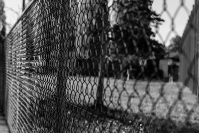 Close-up of chainlink fence