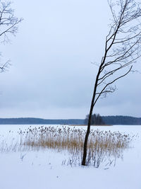 Scenic view of lake against sky during winter