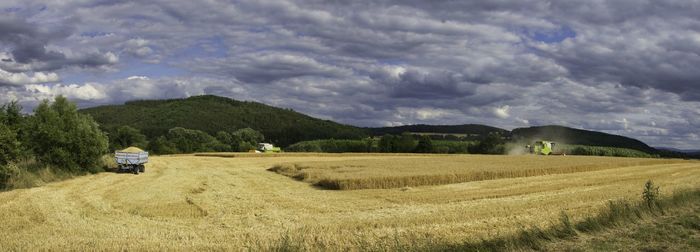 Scenic view of agricultural field against sky