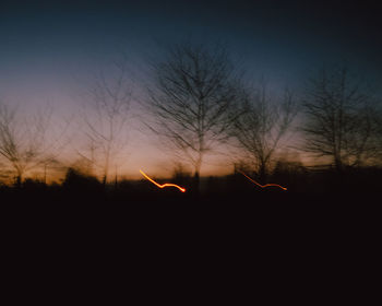 Silhouette plants against clear sky at sunset