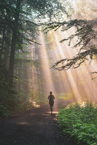 Full length of woman walking in forest