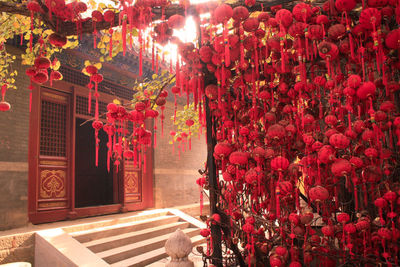 Red lanterns hanging on tree