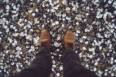 Low section of man standing on pebbles