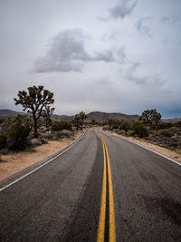 Road winding through joshua tree national park under gray skies