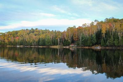 Scenic view of lake by trees against sky