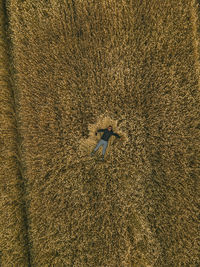 High angle view of man standing on field