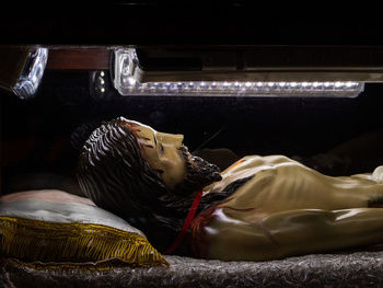 Close-up of a sleeping