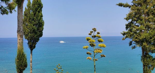 Scenic view of sea against blue sky