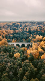 High angle view of plants and trees against sky