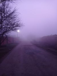 fog