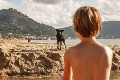Rear view of boy against dog at beach on sunny day