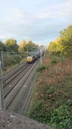 Railroad tracks amidst trees against sky