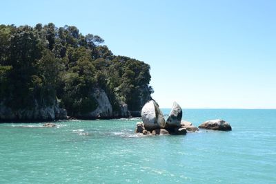 Horse swimming in sea against clear blue sky