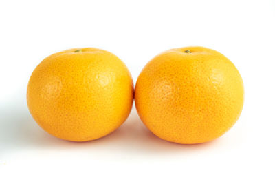 Close-up of orange fruit against white background