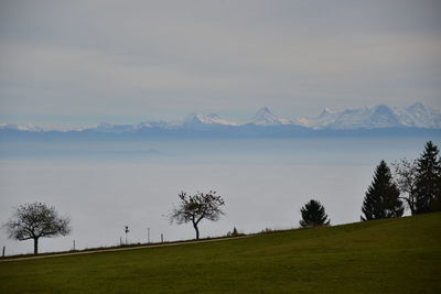 Scenic view of landscape against cloudy sky