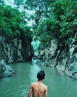 Rear view of shirtless man looking at river in forest