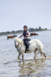 Girl riding on horse, oland, sweden