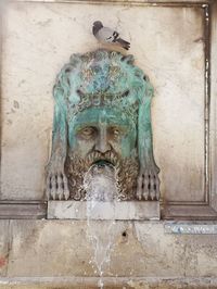 Close-up of statue against wall