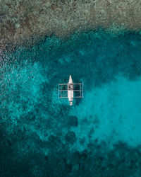 High angle view of man swimming in sea