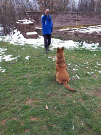 Full length of dog on snow covered field