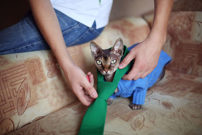 Portrait of woman holding cat at home