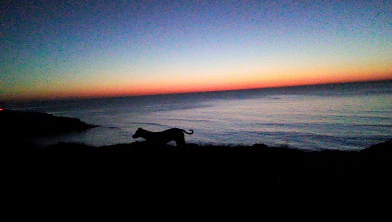 SCENIC VIEW OF BEACH DURING SUNSET