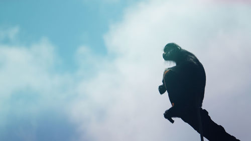 Low angle view of silhouette monkey sitting at tree top against sky anstract thinking and wisdom