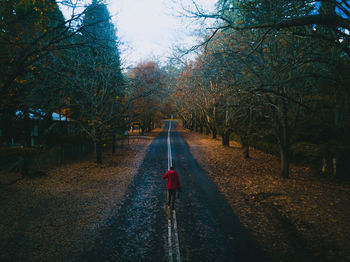 Rear view of man walking on road during autumn