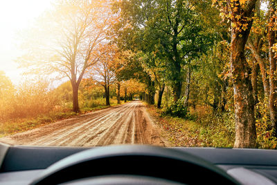 Road amidst trees seen through car windshield