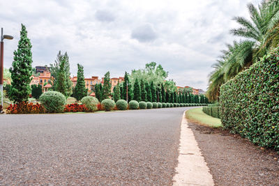 Footpath amidst palm trees against sky