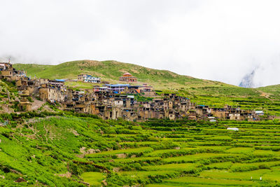 Scenic view of grassy field and houses against sky