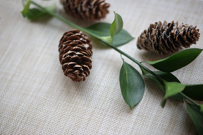 Close-up of pine cones and leaves on table