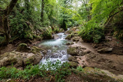 Stream flowing through rocks in forest