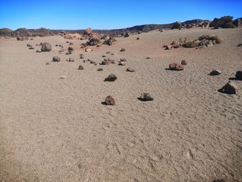 Scenic view of desert against sky