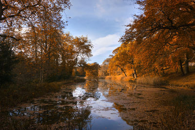 Reflection of trees in lake against sky