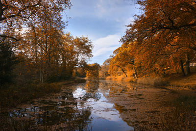 Reflection of trees in lake against sky